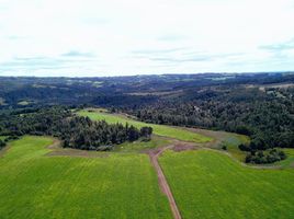  Terreno (Parcela) en venta en Puerto Montt, Llanquihue, Puerto Montt