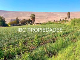  Land for sale in Arica Y Parinacota, Arica, Arica, Arica Y Parinacota