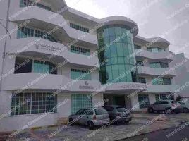 80 m2 Office for rent in Veracruz, Veracruz, Veracruz