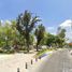 2 Habitación Apartamento en venta en Cuauhtemoc, Ciudad de México, Cuauhtemoc
