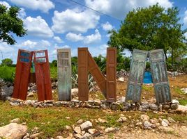  Grundstück zu verkaufen in Muxupip, Yucatan, Muxupip
