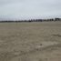  Land for sale in Asia, Lima, Asia
