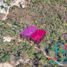 Terreno (Parcela) en venta en Acapulco, Guerrero, Acapulco