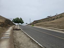  Terrain for sale in Mala, Cañete, Mala