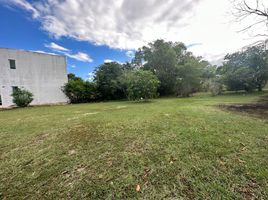  Grundstück zu verkaufen in Conkal, Yucatan, Conkal