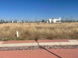  Grundstück zu verkaufen in Apaseo El Grande, Guanajuato, Apaseo El Grande