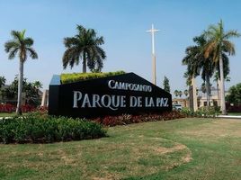  Land for sale in Daule, Guayas, Daule, Daule