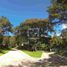  Land for sale in Xico, Veracruz, Xico