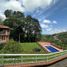 8 Bedroom House for sale in Pereira, Risaralda, Pereira