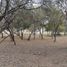  Land for sale in Juarez, Nuevo Leon, Juarez