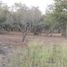  Land for sale in Juarez, Nuevo Leon, Juarez