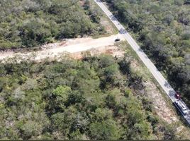  Land for sale in Kinchil, Yucatan, Kinchil