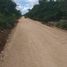  Land for sale in Kinchil, Yucatan, Kinchil