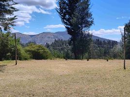  Land for sale in Alangasi, Quito, Alangasi