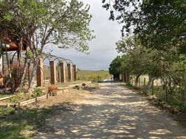  Terrain for sale in Melipilla, Santiago, Maria Pinto, Melipilla