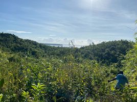  Grundstück zu verkaufen in Palawan, Mimaropa, Puerto Princesa City