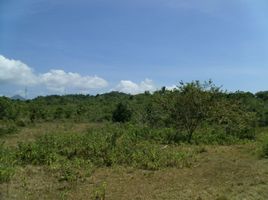  Terrain for sale in Puerto Princesa City, Palawan, Puerto Princesa City