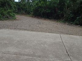  Terrain for sale in Puerto Princesa City, Palawan, Puerto Princesa City