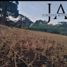  Land for sale in Atzacan, Veracruz, Atzacan