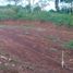  Land for sale in Atzacan, Veracruz, Atzacan