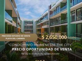 1 Bedroom Apartment for sale in Playa del Carmen, Cozumel, Cozumel