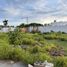  Land for sale in Temixco, Morelos, Temixco