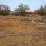  Land for sale in Tlayacapan, Morelos, Tlayacapan