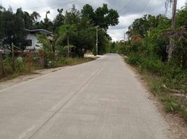  Grundstück zu verkaufen in Bohol, Central Visayas, Tagbilaran City