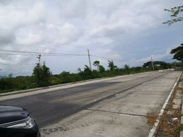  Land for sale in Western Visayas, Dumangas, Iloilo, Western Visayas