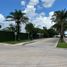  Land for sale in Tixpehual, Yucatan, Tixpehual, Yucatan