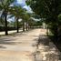  Land for sale in Tixpehual, Yucatan, Tixpehual, Yucatan