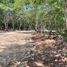  Land for sale in Dist Pochutla, Oaxaca, Dist Pochutla, Oaxaca
