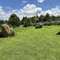 3 Bedroom House for sale in Amacueca, Jalisco, Amacueca