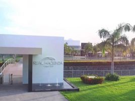  Terreno (Parcela) en venta en Colima, Colima, Colima, Colima