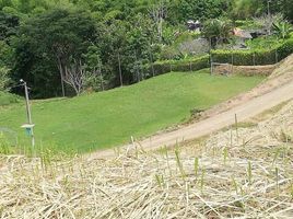  Terreno (Parcela) en venta en Colombia, Manizales, Caldas, Colombia