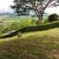  Land for sale in Manizales, Caldas, Manizales