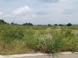  Land for sale in Silao, Guanajuato, Silao