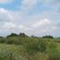  Land for sale in Silao, Guanajuato, Silao