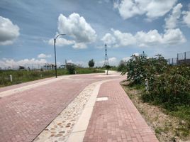  Terreno (Parcela) en venta en Corregidora, Querétaro, Corregidora