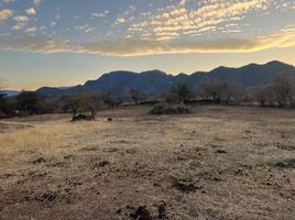  Grundstück zu verkaufen in Joquicingo, Mexico, Joquicingo
