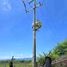  Land for sale in Tepalcingo, Morelos, Tepalcingo