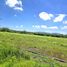  Land for sale in Tepalcingo, Morelos, Tepalcingo