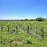  Land for sale in Tepalcingo, Morelos, Tepalcingo