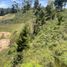  Land for sale in Guarne, Antioquia, Guarne