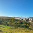 Terrain à vendre à Zapopan, Jalisco, Zapopan, Jalisco