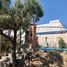  Land for sale in El Arenal, Jalisco, El Arenal