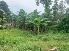  Land for sale in Negros Oriental Negros Island Region, Dumaguete City
