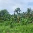  Land for sale in Negros Oriental Negros Island Region, Dumaguete City