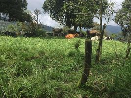  Casa en venta en San Miguel de los Bancos, Pichincha, Mindo, San Miguel de los Bancos