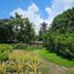  Land for sale in Nagcarlan, Calabarzon, Nagcarlan